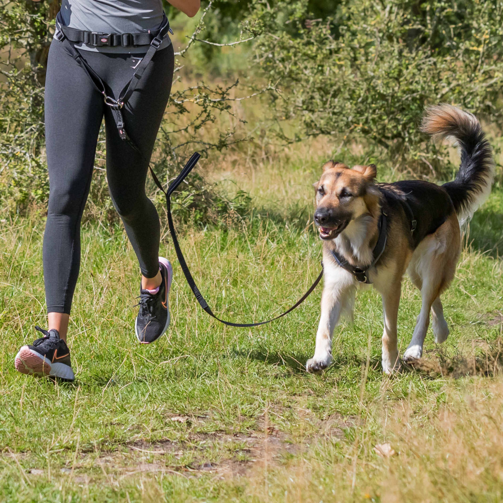 Trixie Trening pojas sa povodcem za trčanje sa psom - Slika 3