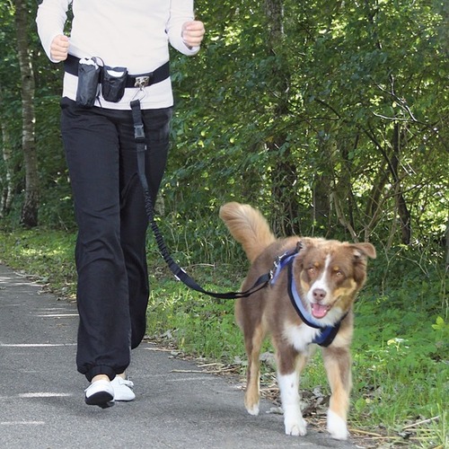 Trixie Trening pojas sa povodcem za trčanje sa psom - Slika 4