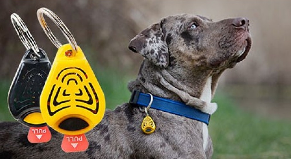 Julius-K9® Ultrasonic uređaj protiv krpelja i buha, žuti - Slika 4