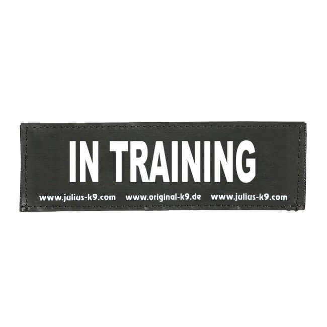 Julius K9 In training