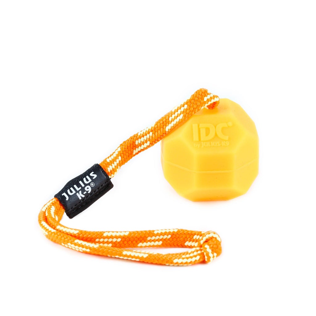 Julius-K9® IDC® Neon profesionalna loptica za mlade pse - Narančasta - Slika 2