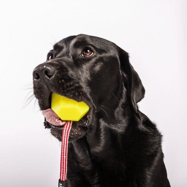 Julius-K9® IDC® Neon profesionalna loptica za odrasle pse - Žuta - Slika 3