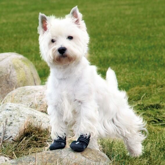 Trixie cipele za pse Walker Active L , 2 komada - Slika 7