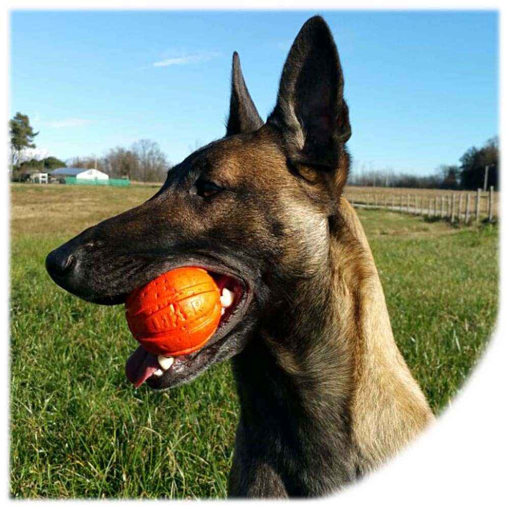 Liker Ball profesionalna loptica s užetom za pse 70 mm - Slika 6