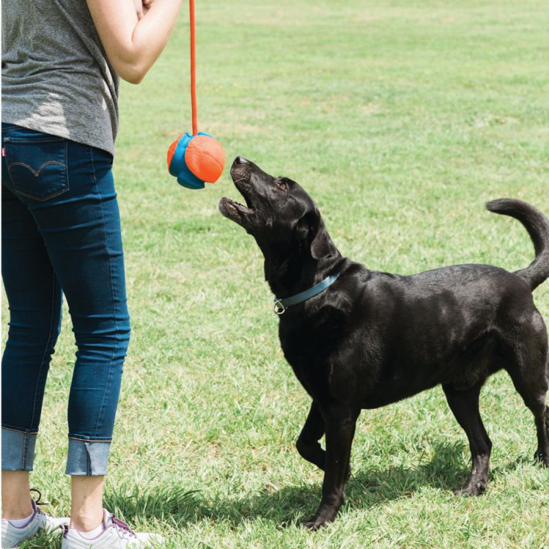 Chuckit Rope Fetch igračka za pse 140 mm - Slika 6