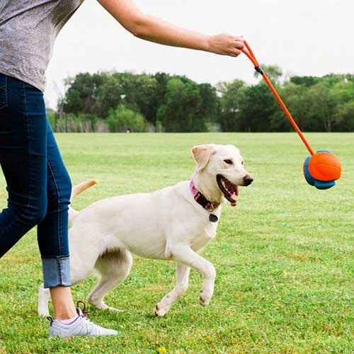 Chuckit Rope Fetch igračka za pse 140 mm - Slika 3