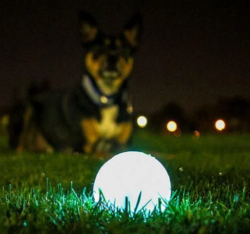 Chuckit Max Glow svijetleća loptica za pse 75 mm - Slika 5