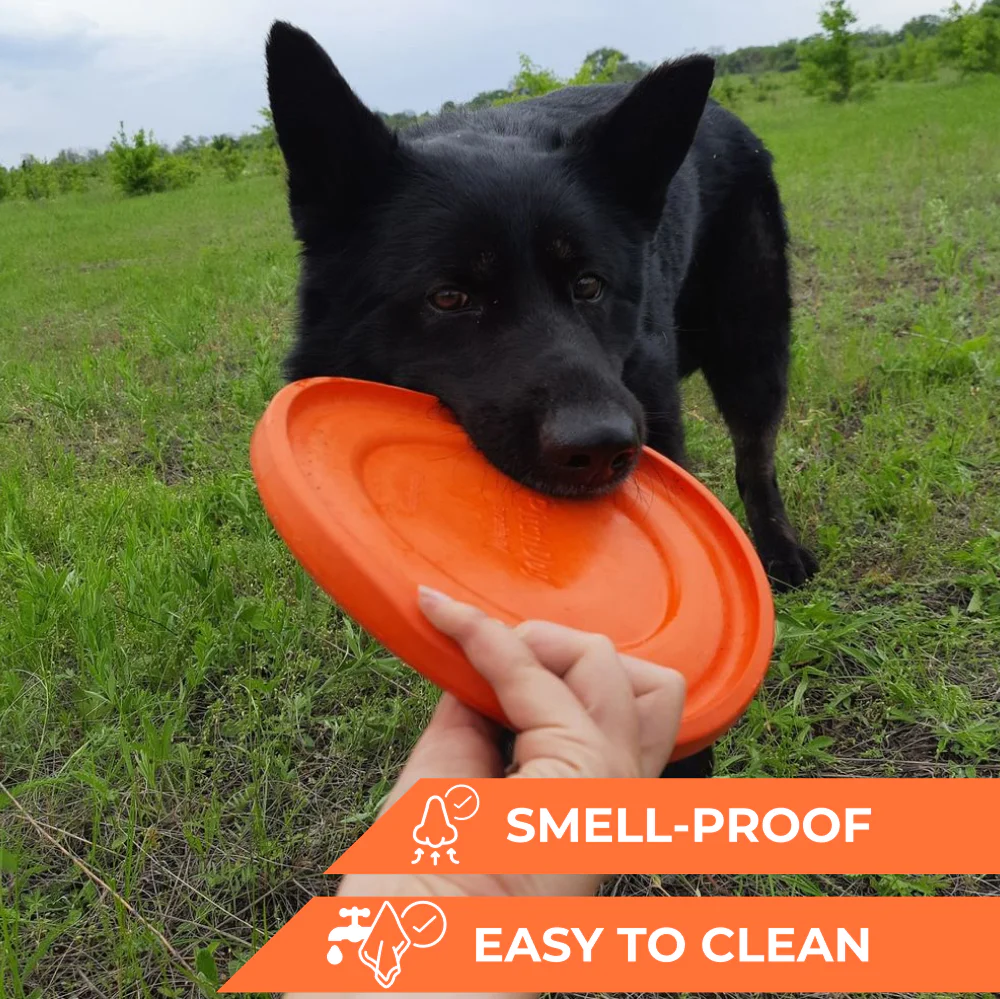 Pitch Dog profesionalni disk za pse 24 cm - Slika 4